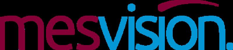 MESVision
